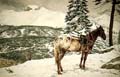 On Bierstadt's Trail